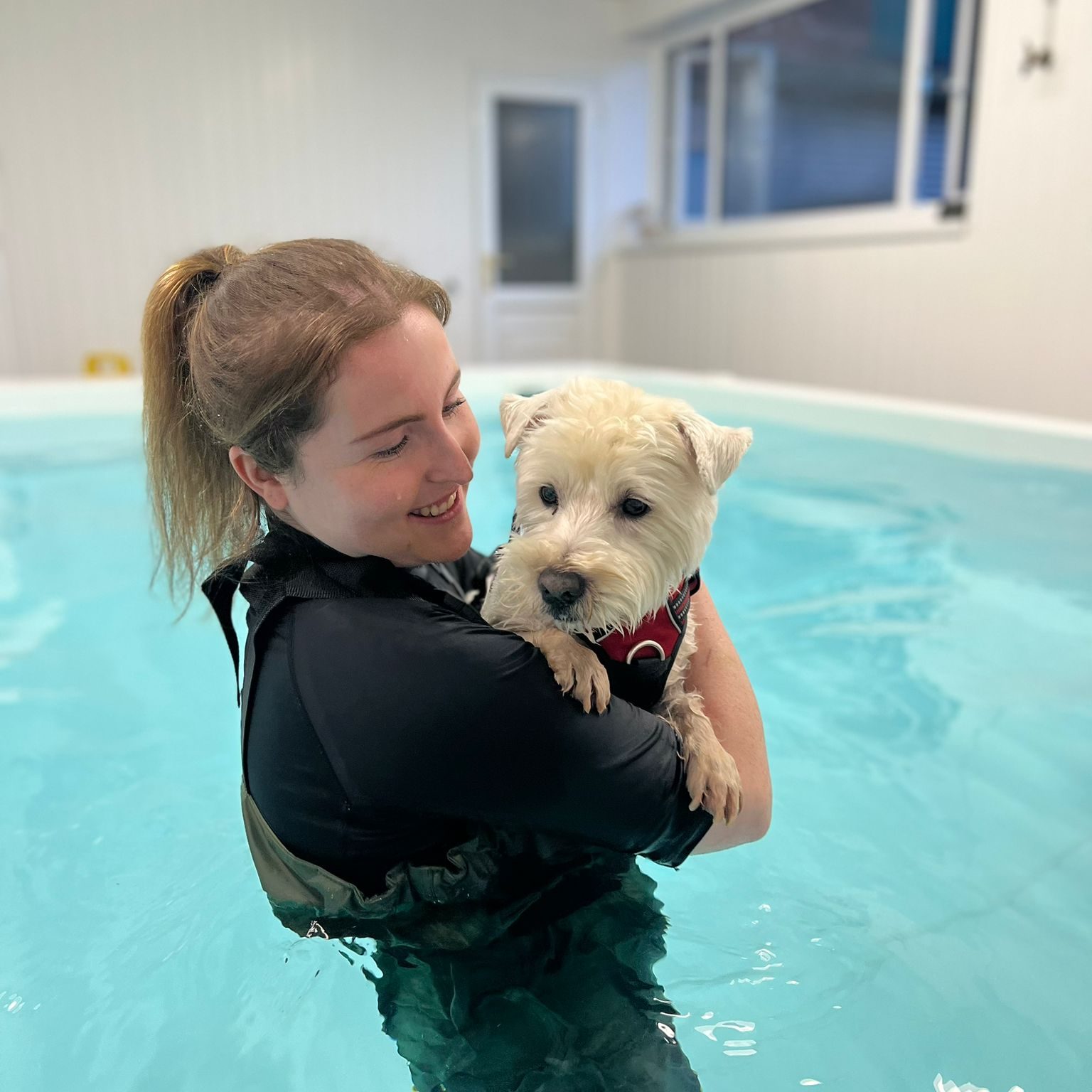 Megan Ingham Veterinary Physiotherapist